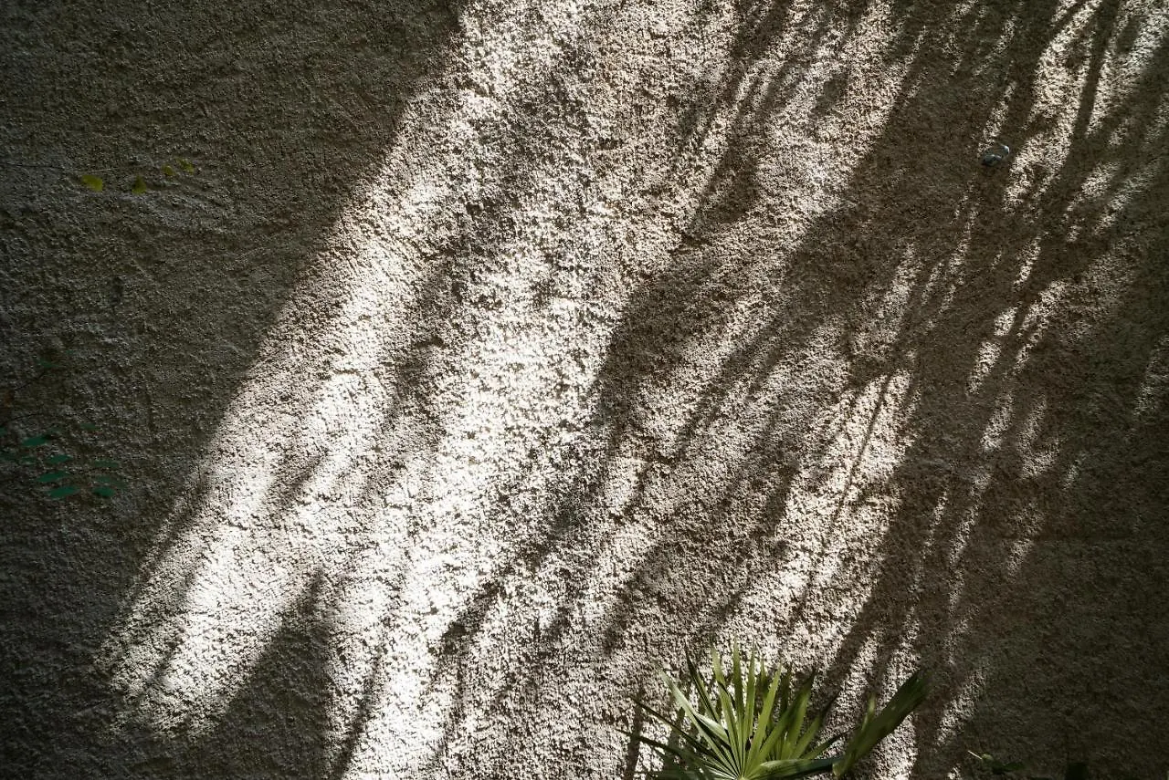 Teva Tulum, Aldea Zama Apartment