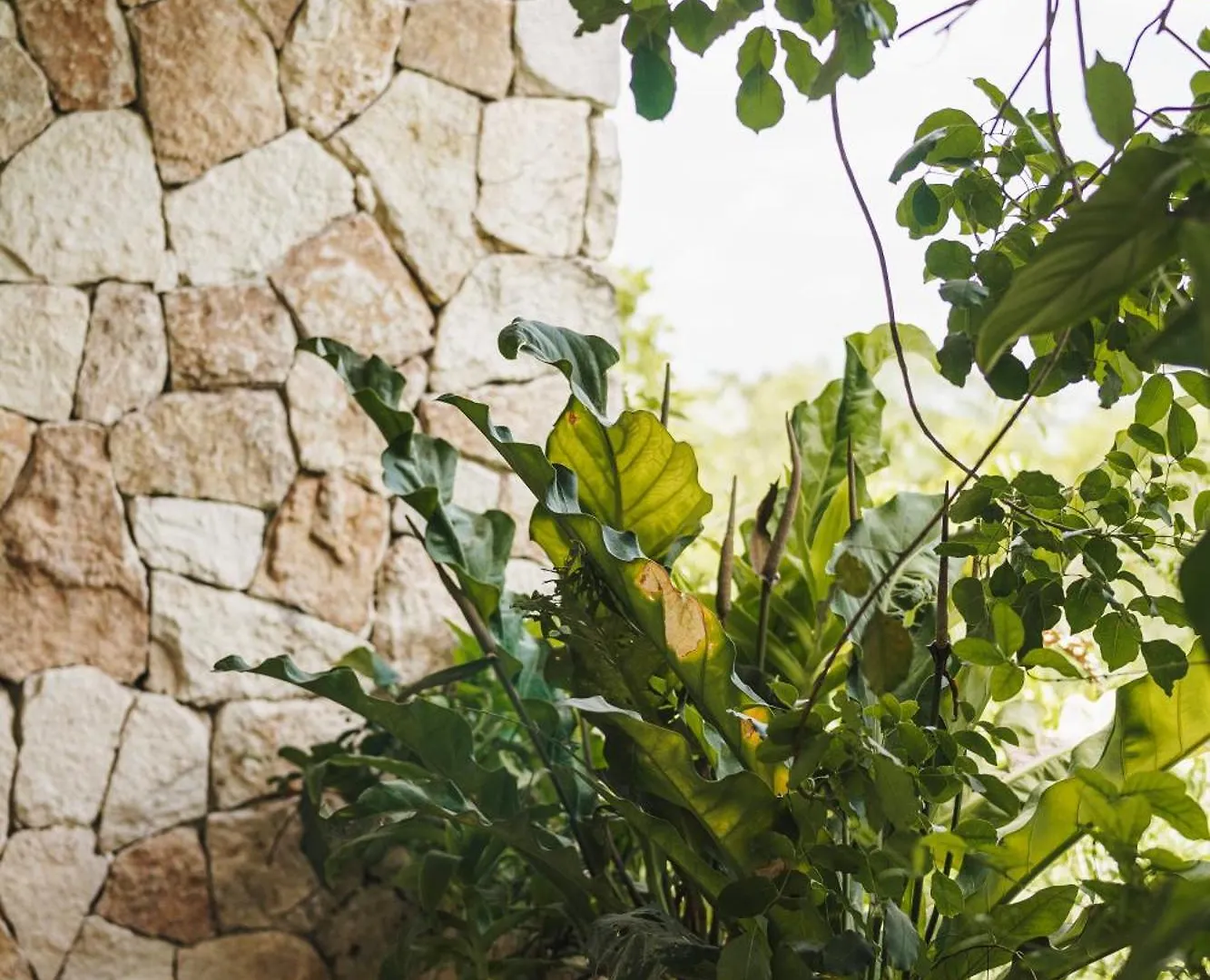 Teva Tulum, Aldea Zama Apartment