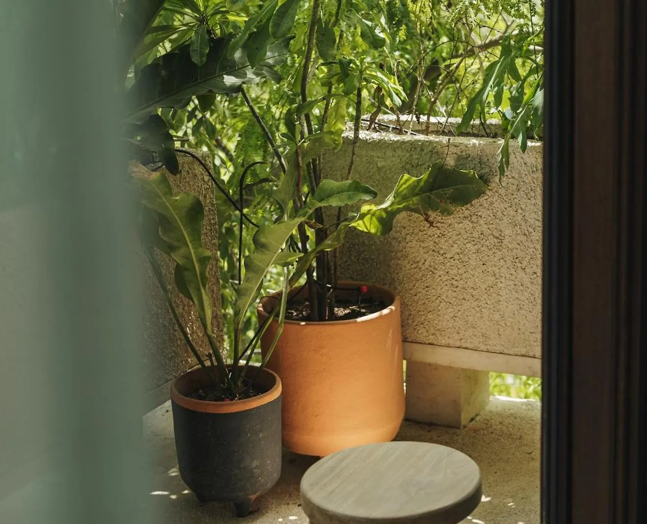 Appartement Teva Tulum, Aldea Zama 0*, Tulum Mexique